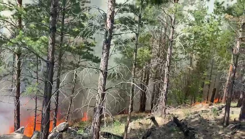 Фото На севере Бурятии грибники устроили лесной пожар