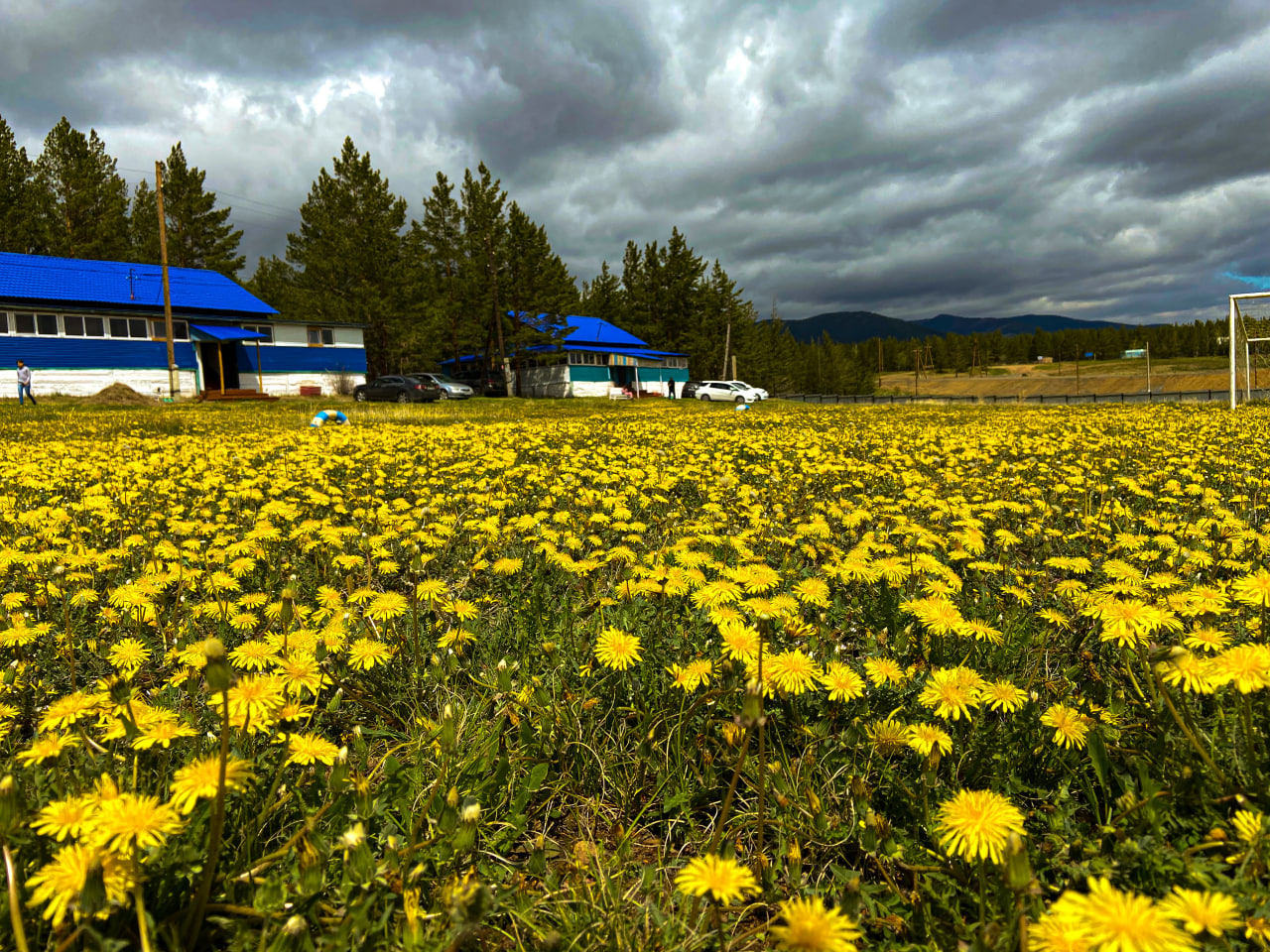 Фото Заявления в детские лагеря в Улан-Удэ можно подавать уже в январе