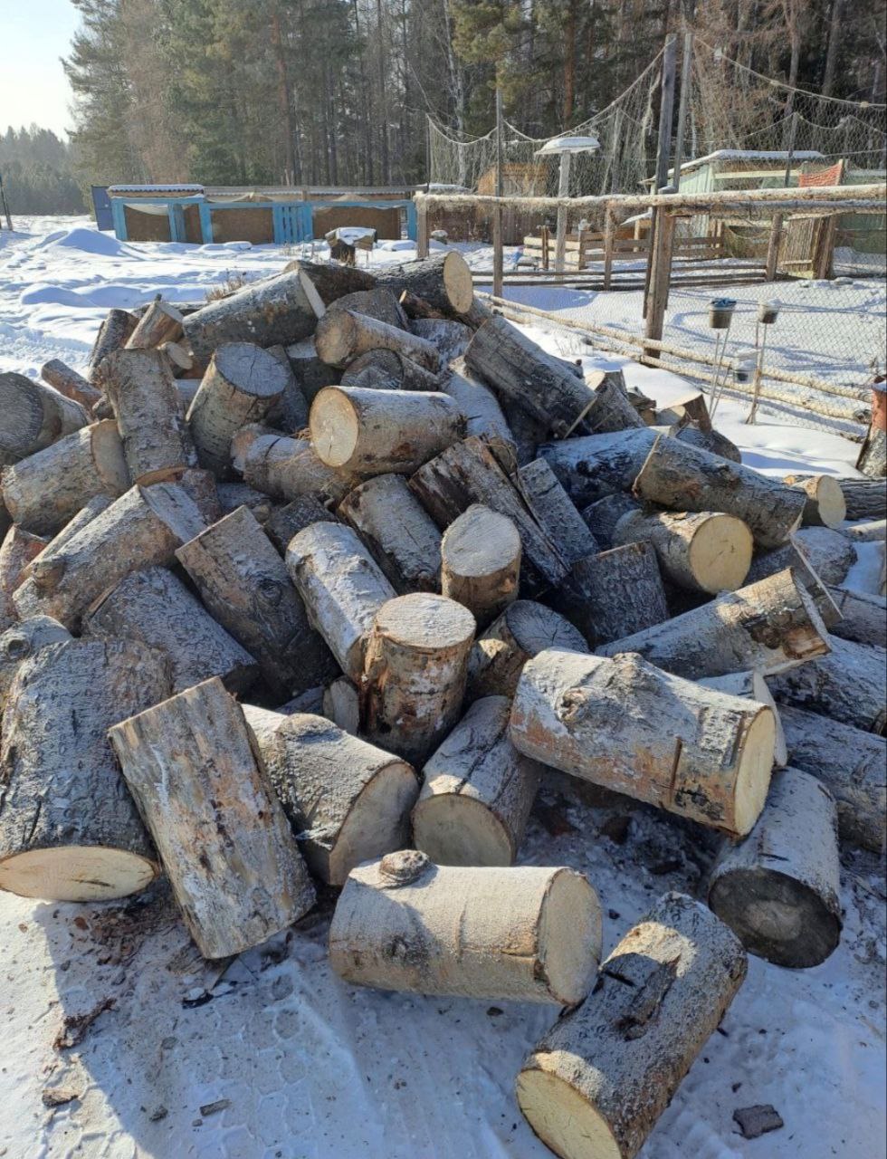 Фото Глава поселения в Бурятии выполнил обещание с бабушкиными дровами 