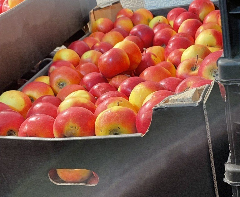 Фото В павильонах Улан-Удэ продавали яблоки неизвестного происхождения