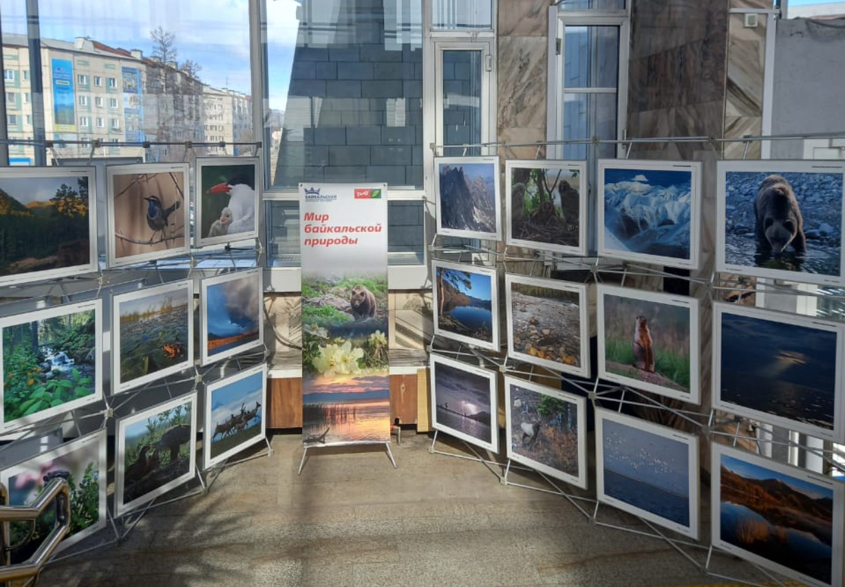 Фото В Бурятии на станции Северобайкальск открылась фотовыставка краснокнижных растений и животных