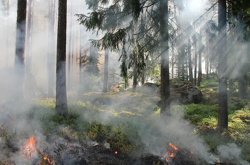Фото В Бурятии из-за неосторожного обращения с огнем сгорело 11,5 га леса