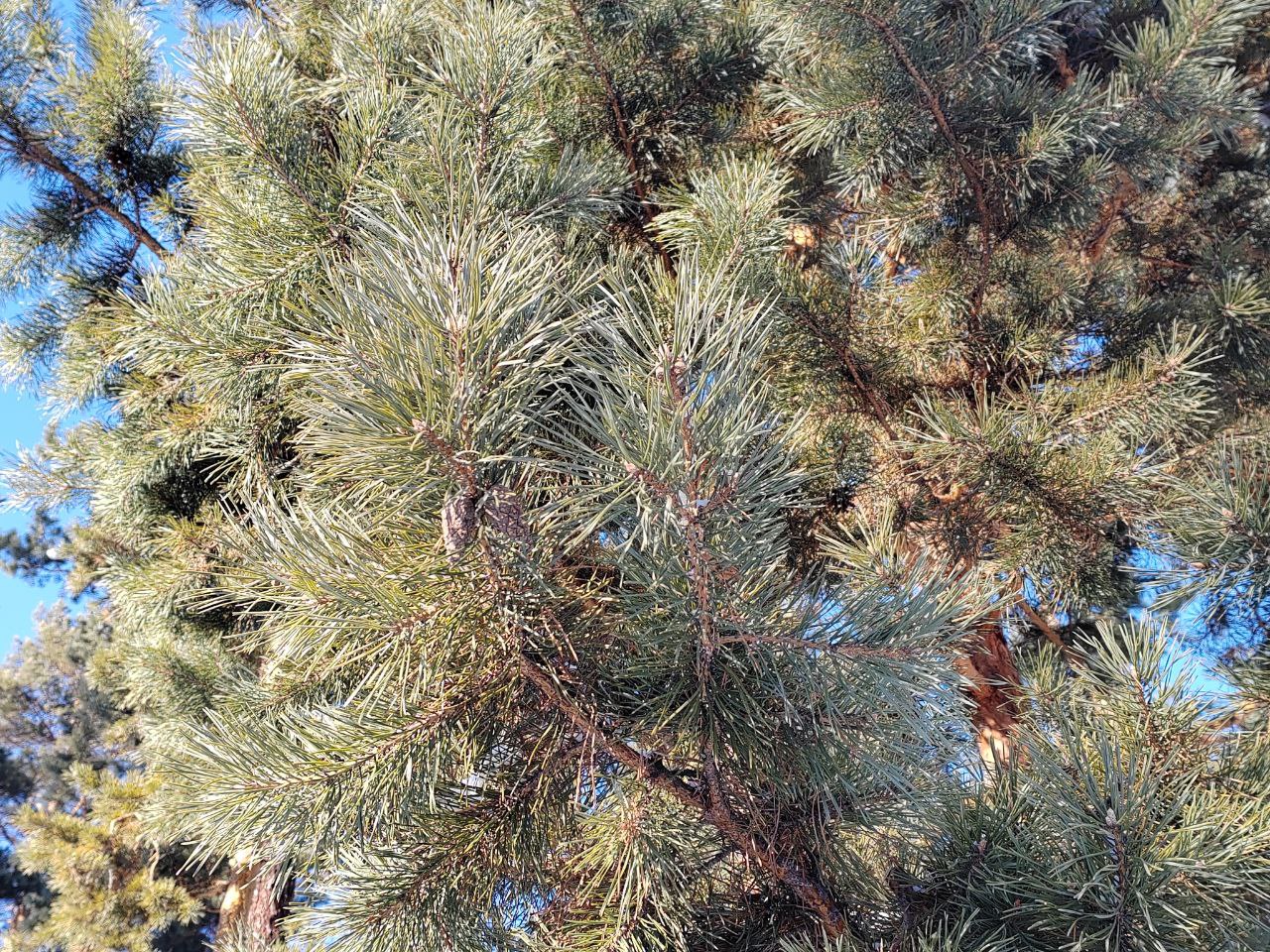 Фото В Джидинском районе Бурятии отремонтируют 10-километровый участок региональной дороги