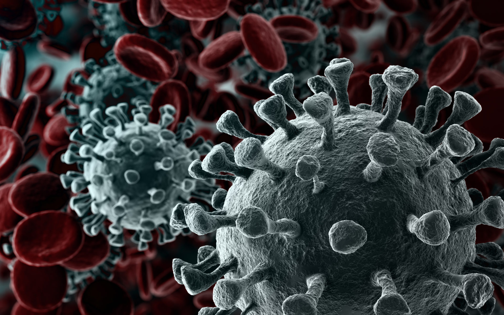 Фото В мире зафиксировали первую смерть повторно заболевшего коронавирусом