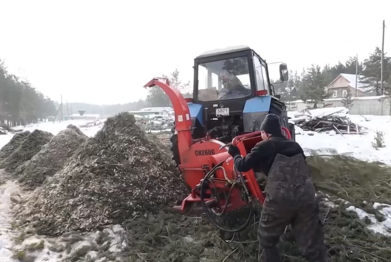 Фото Жители Бурятии могут дать ёлке вторую жизнь