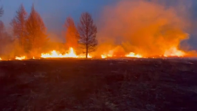 Фото За сутки в Бурятии горело 794 гектара леса