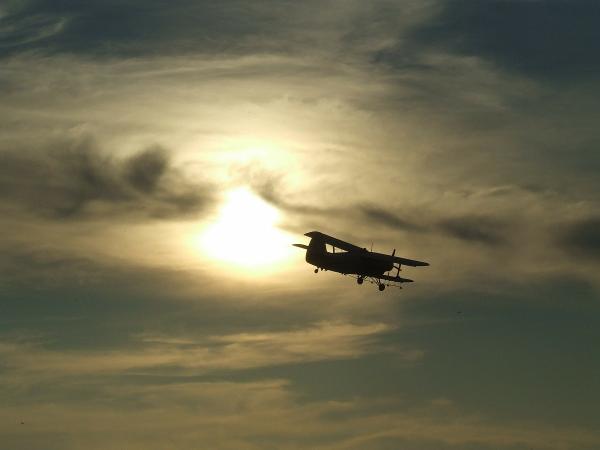 Фото Поиски пропавшего самолета Ан-2 в Бурятии продолжат в ближайшее время