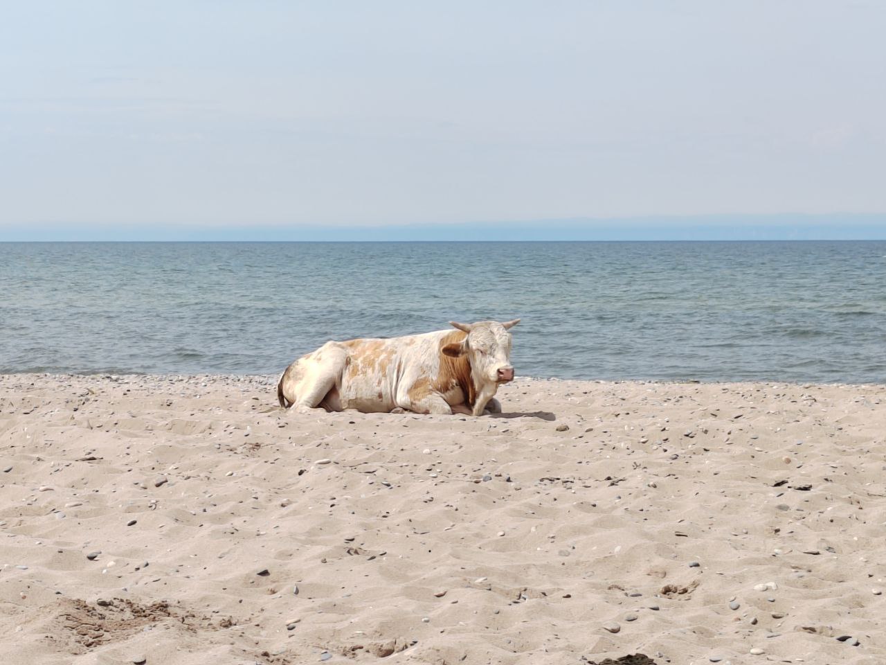 Фото За минувшие выходные в Бурятии утонуло пять человек