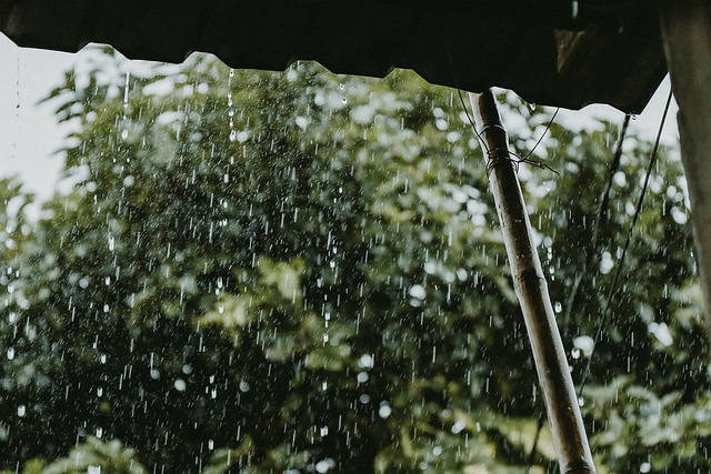 Фото Погода в Бурятии на 18 августа