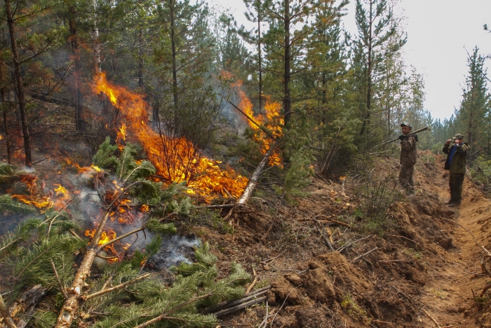 Фото В Баргузинском районе Бурятии горел лес