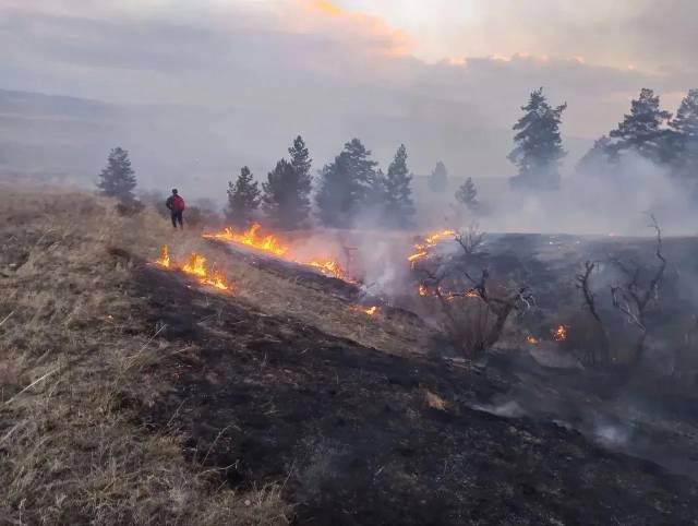 Фото По иску прокурора с сетевой организации в Бурятии взысканы расходы на тушение ландшафтного пожара