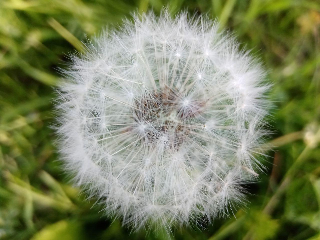 Фото Погода в Бурятии 17 июня 2023 года	