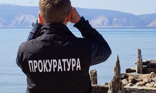 Фото Массовой гибелью рыб и раков на севере Байкала заинтересовалась прокуратура