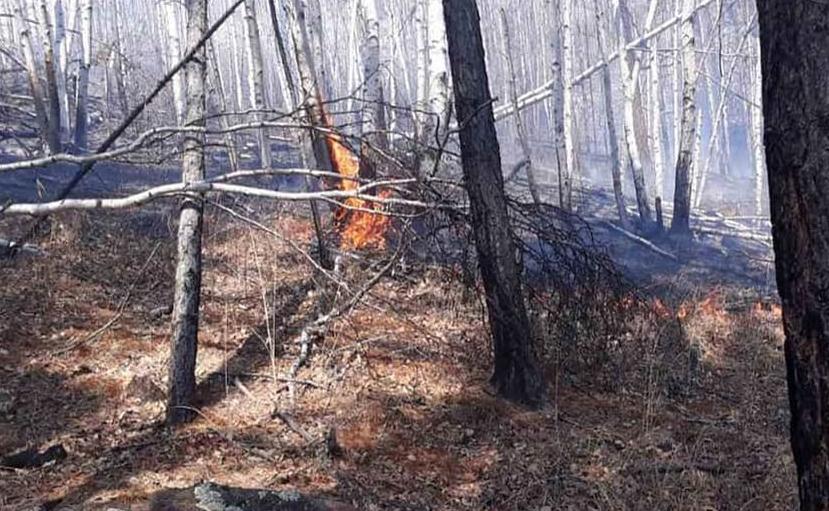 Фото Еще 6 га леса сгорело в Бурятии из-за неосторожного обращения  с огнем