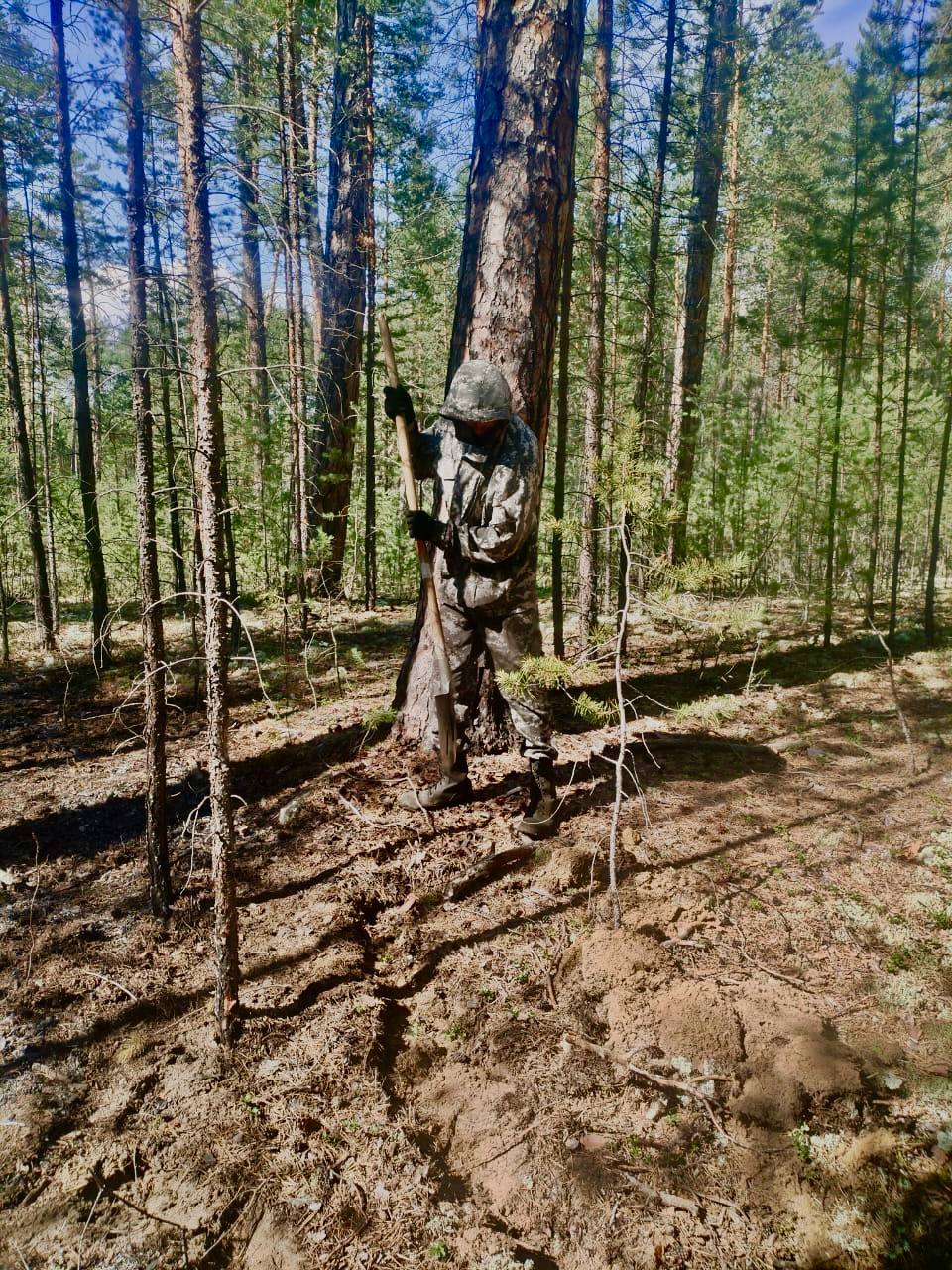 Фото Лесопожарная обстановка в Бурятии: обнаружено возгорание в Прибайкальском районе