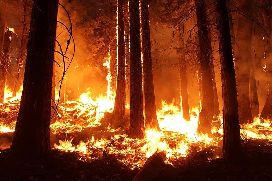 Фото За сутки в Бурятии возникло два лесных пожара