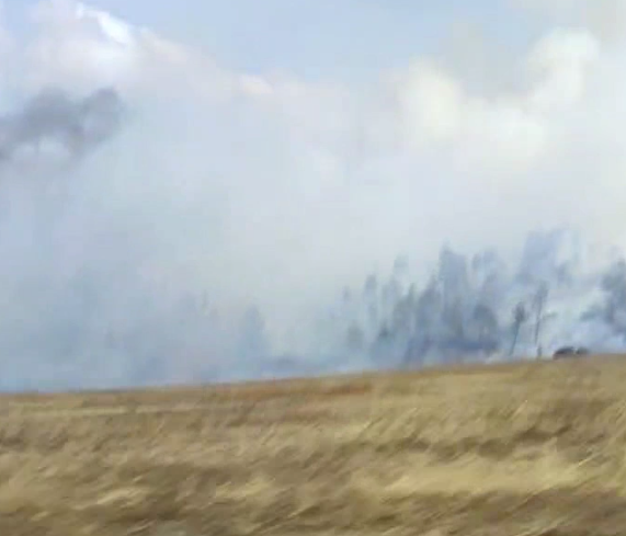 Фото В Бурятии потушили лесные пожары в Иволгинском и Кяхтинском районах 