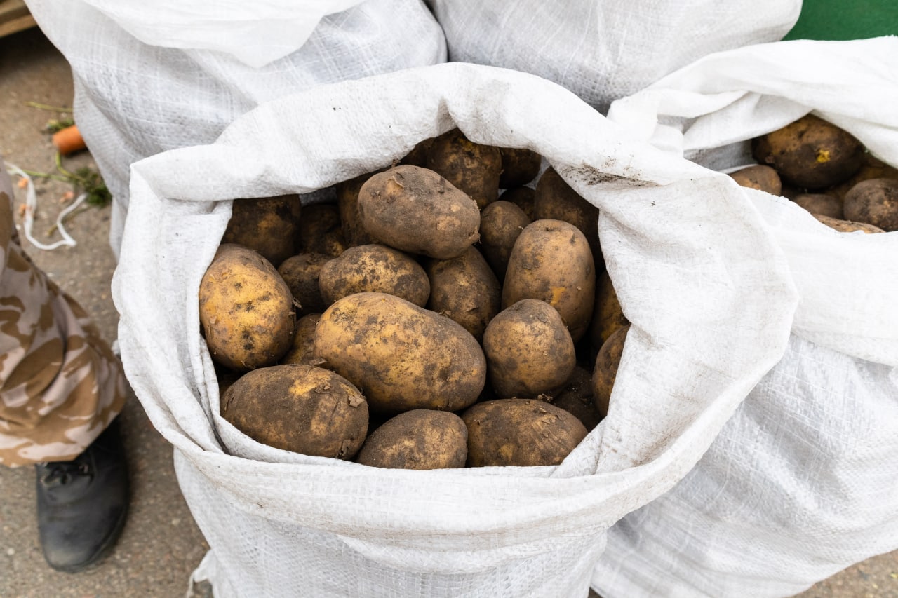 Фото В Бурятии заработал федеральный проект по развитию овощеводства и картофелеводства