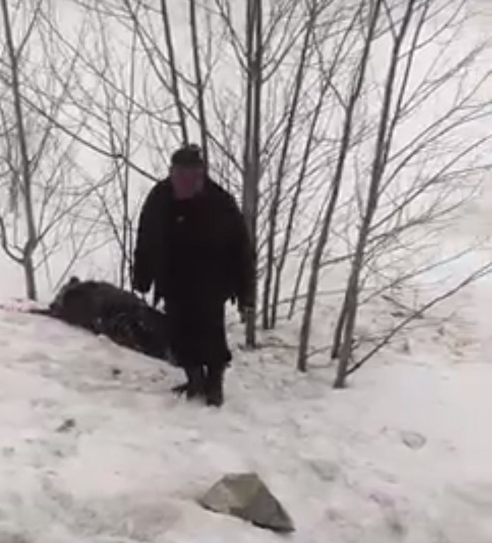 Фото В Бурятии лесники обнаружили страшную находку недалеко от Байкала