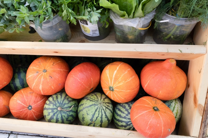 Фото Готовимся к весне: Роспотребнадзор по Бурятии подготовил советы по рациону питания