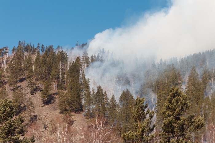 Фото В Бурятии выявили 570 нарушителей правил пожарной безопасности в лесах