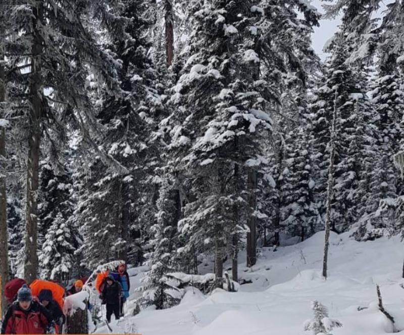 Фото В лесу Прибайкальского района Бурятии спасатели ищут пропавшего мужчину