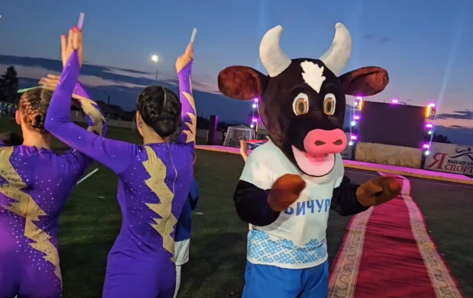 Фото Символом сельских игр в Бурятии стал телёнок