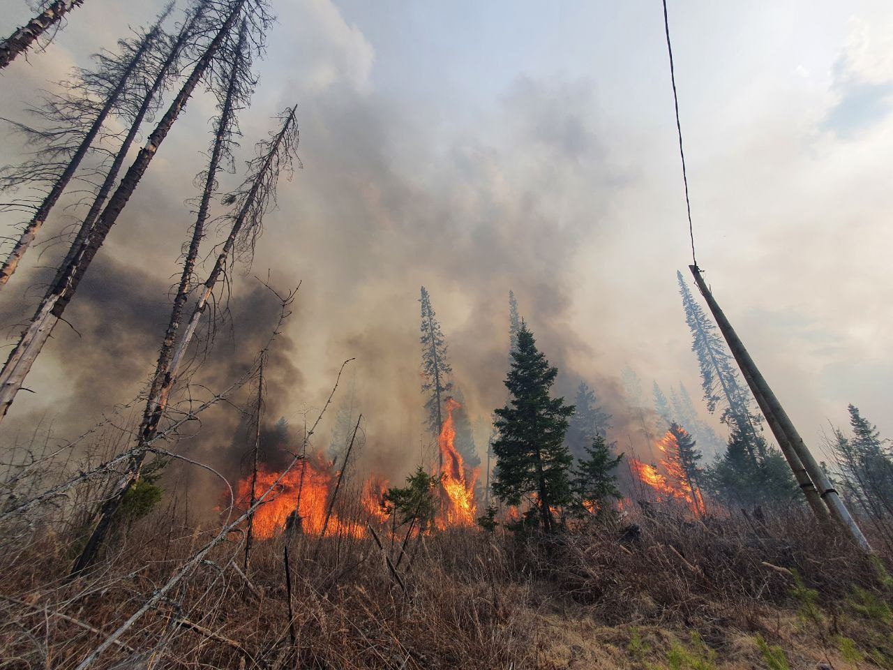 Фото В Бурятии за сутки ликвидировано 4 лесных пожара на площади 326 га