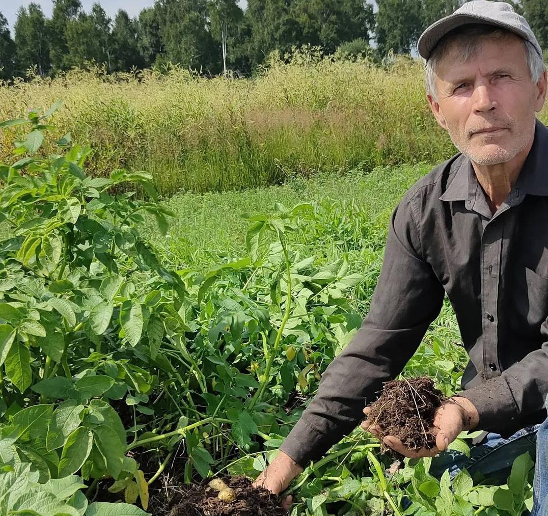 Агроном-любитель из Бурятии придумал новый метод выращивания картофеля (ФОТО)