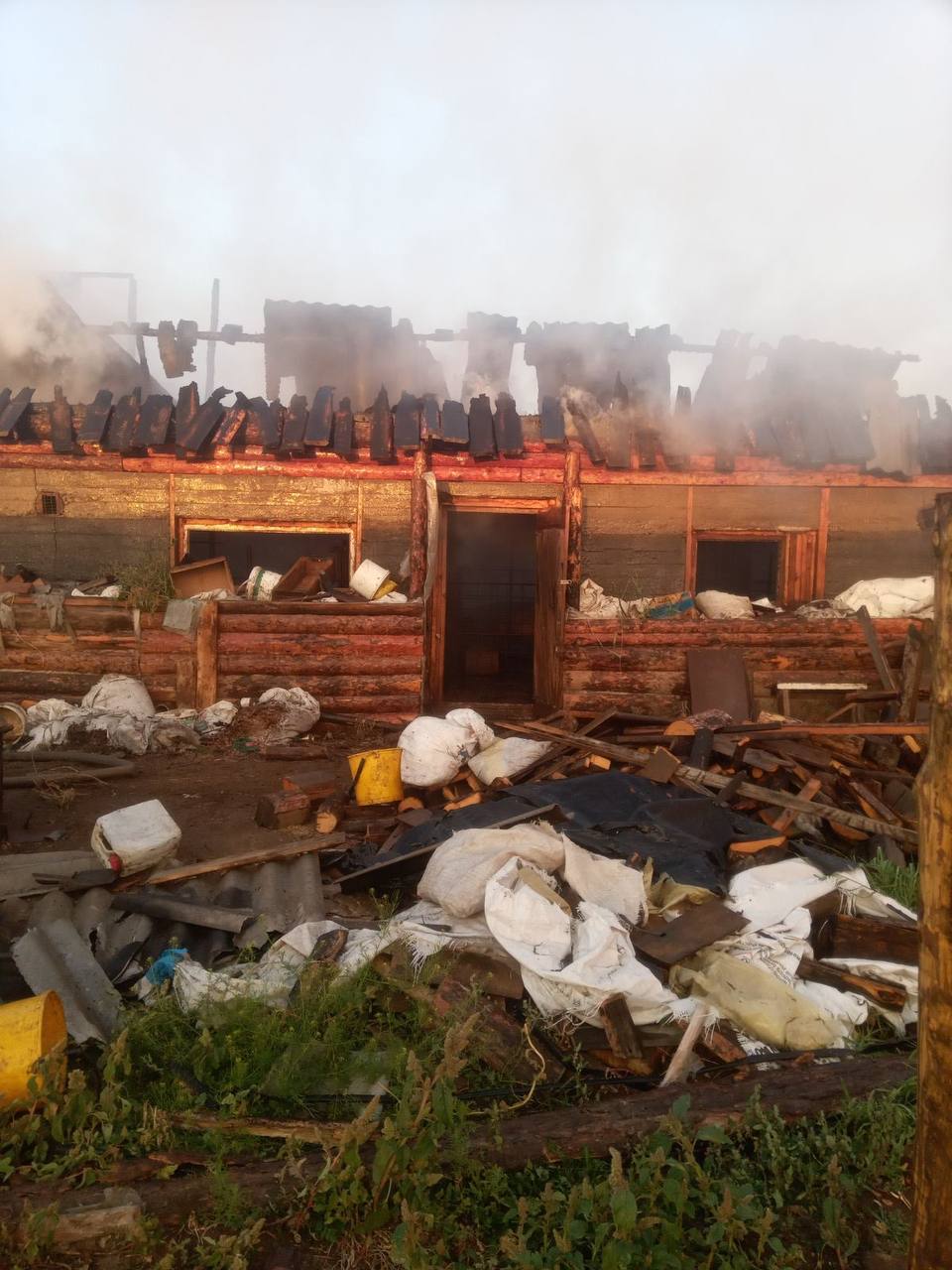 Фото В Бурятии из-за пожара погибли 60 куриц и 10 свиней