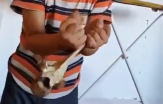 Фото Мальчик из Бурятии показал мастер-класс по разбиванию хребтовой кости (ВИДЕО)