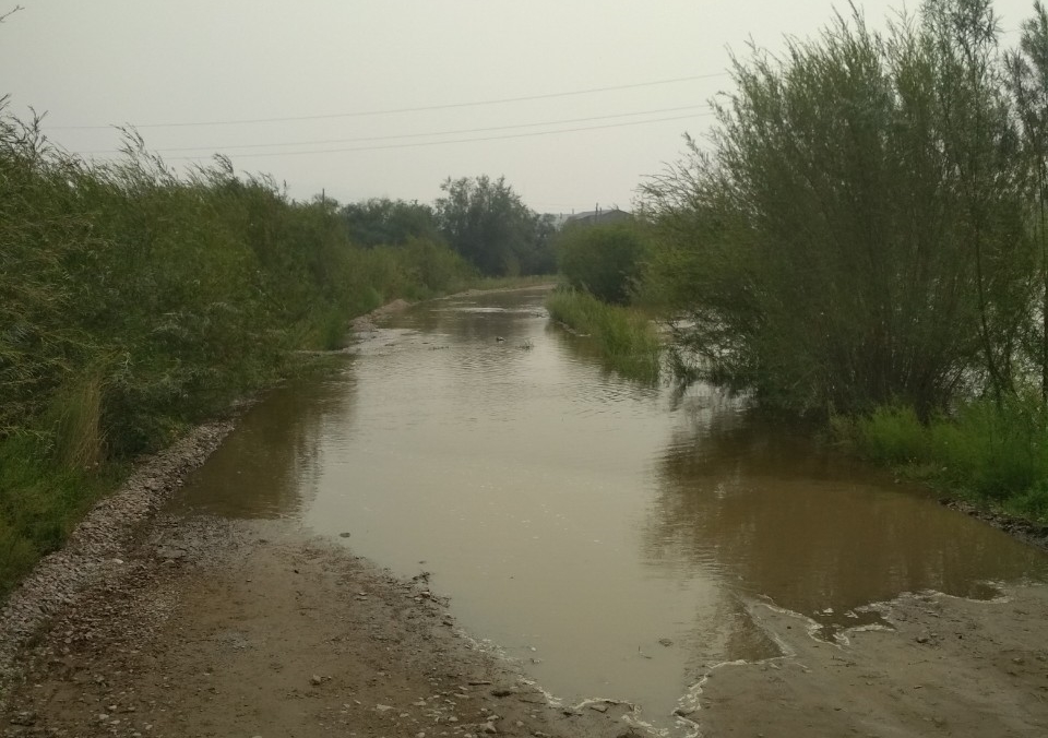 Фото В Улан-Удэ поднялся уровень воды реки Селенга
