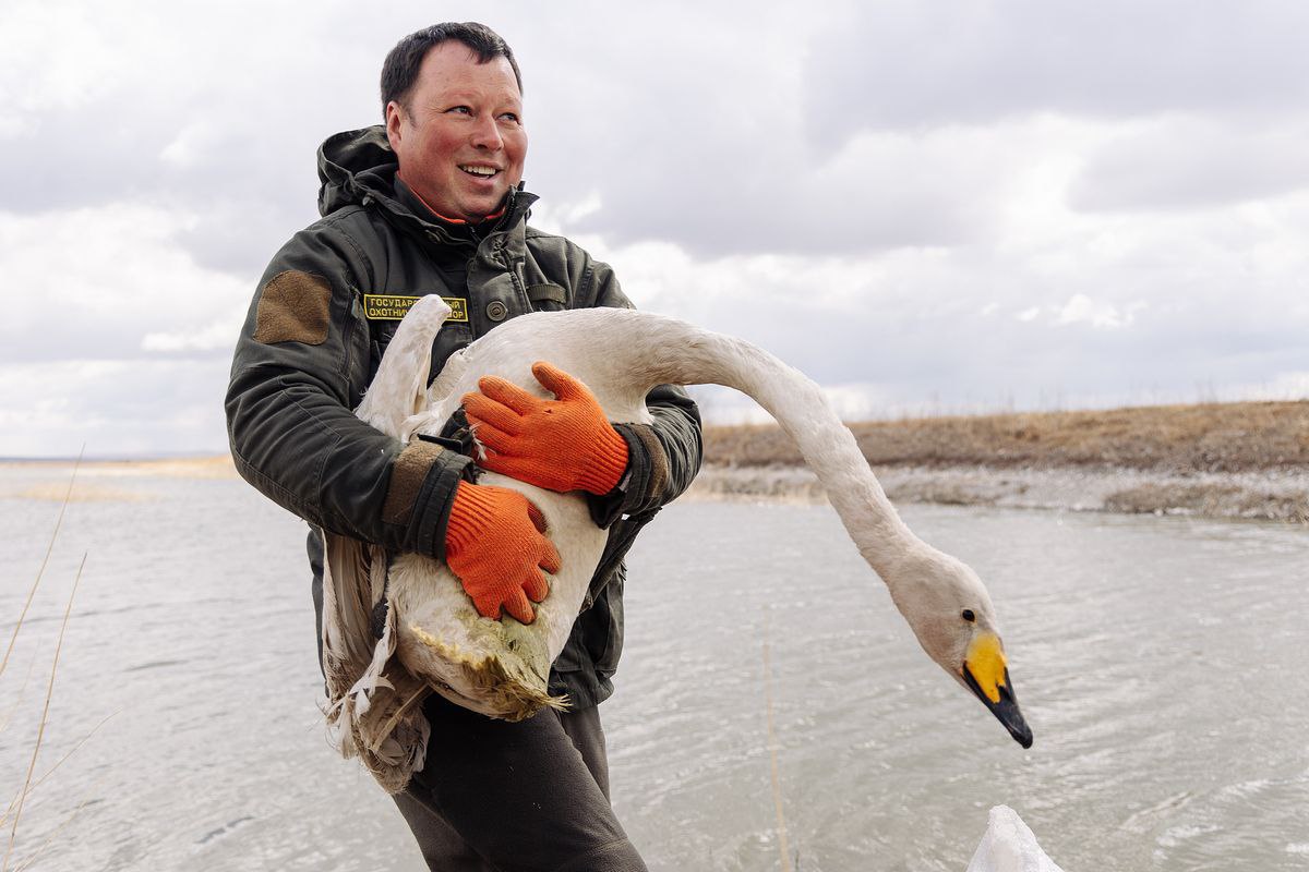 Фото В Бурятии отметили Международный день птиц