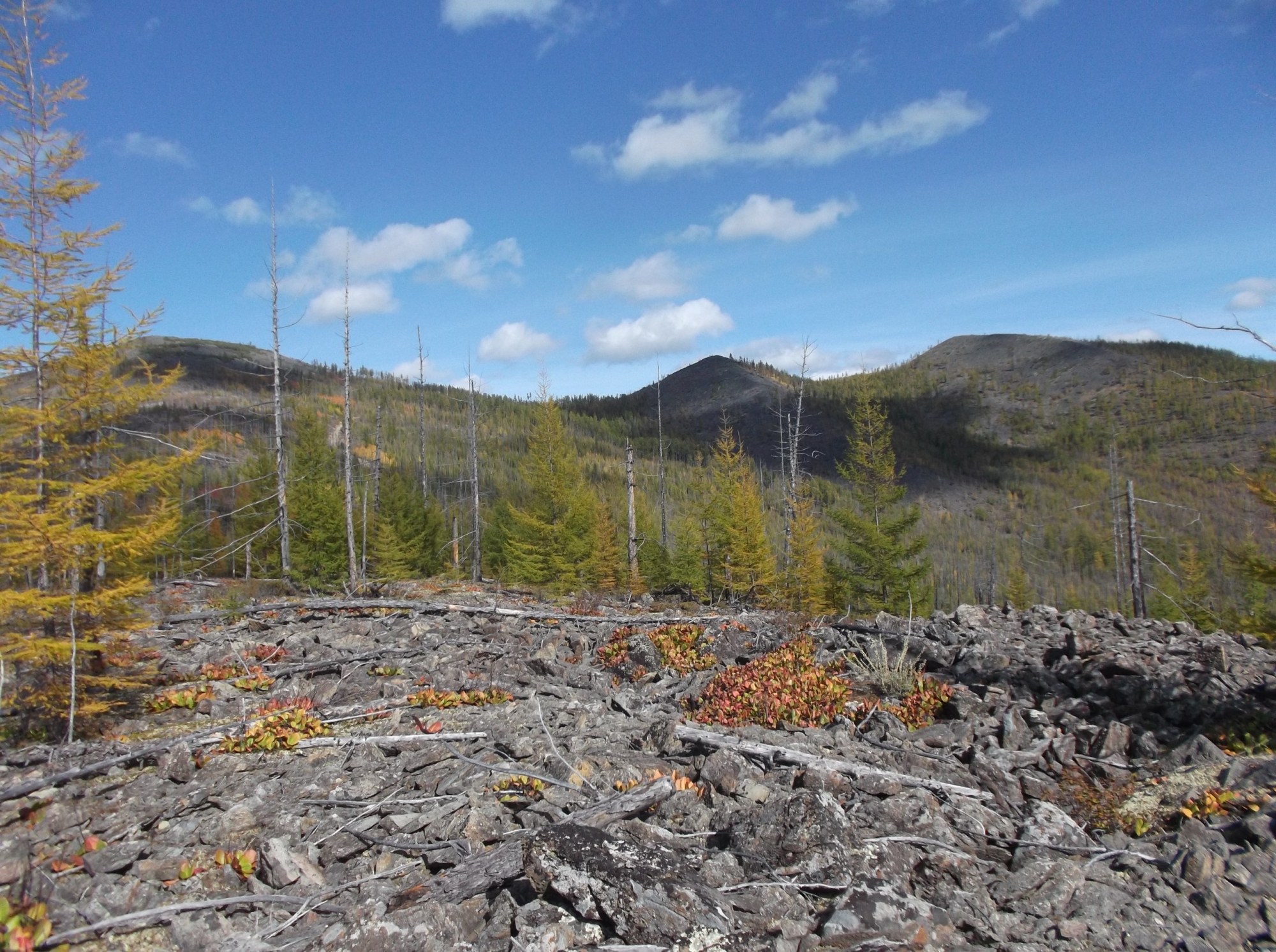 Фото «Селигдар» получил на баланс запасы из нераспределенного фонда недр в Бурятии