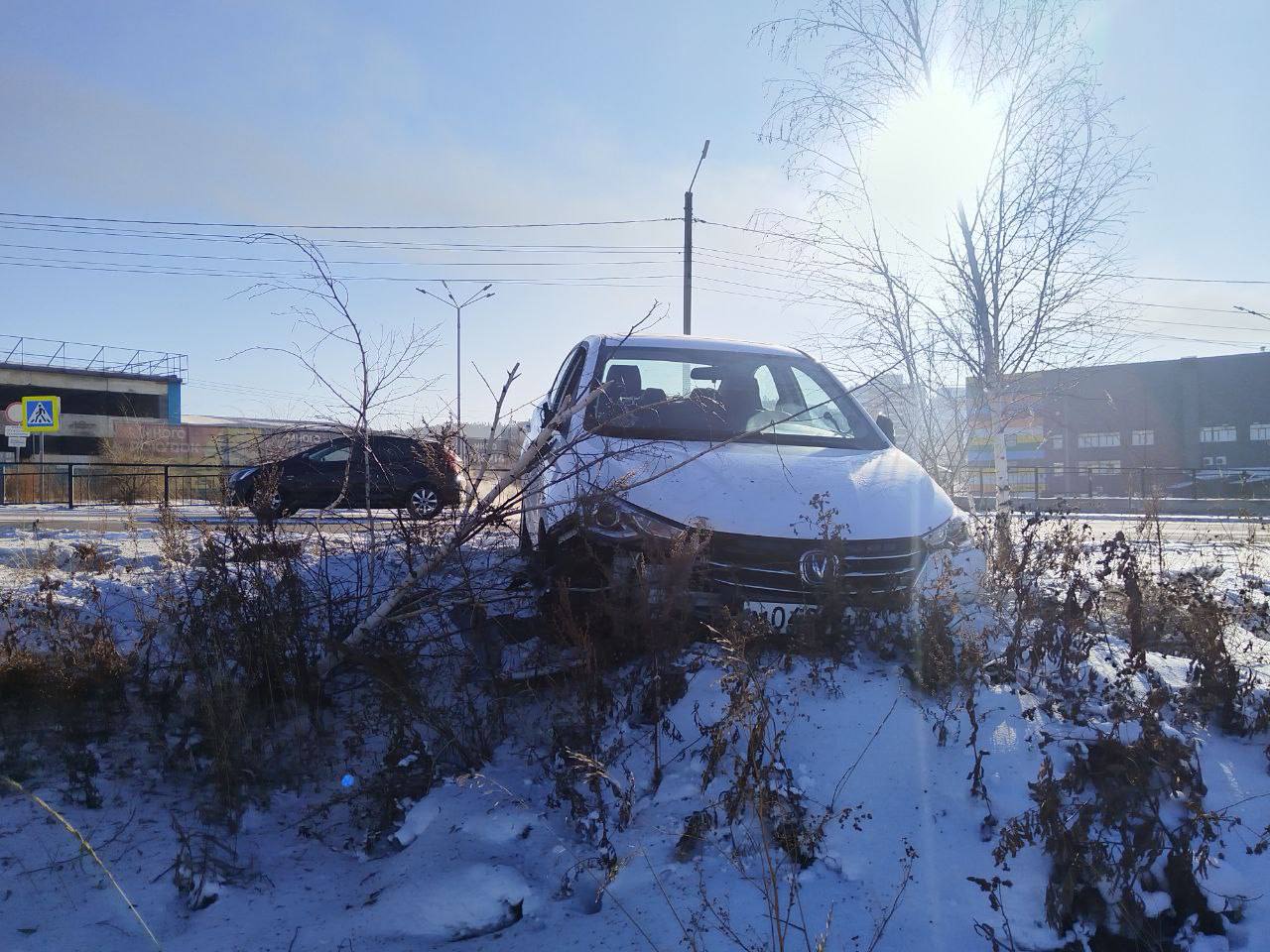 Фото В Улан-Удэ водитель выплатит штраф за казённые березы 