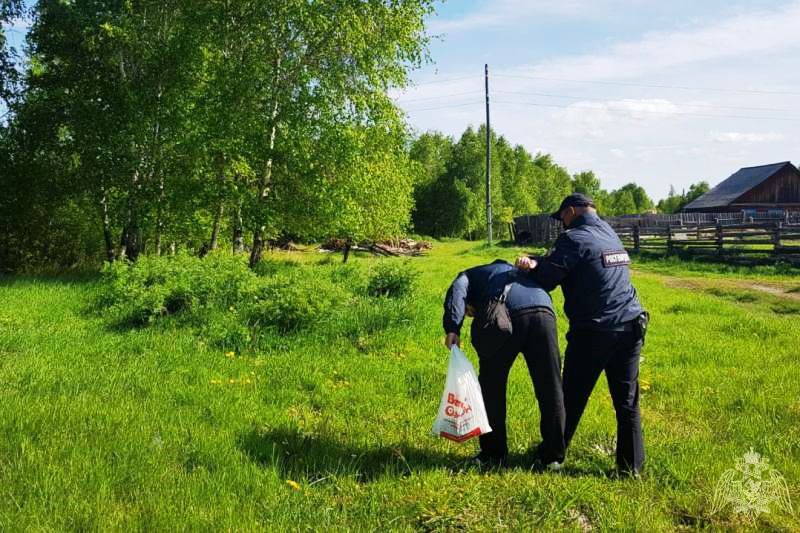 Фото В Бурятии подросток при виде Росгвардии бросил наркотики и побежал в березовую рощу