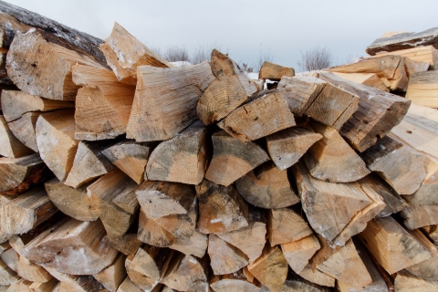 Фото В Бурятии семьи мобилизованных обеспечат дровами на зиму