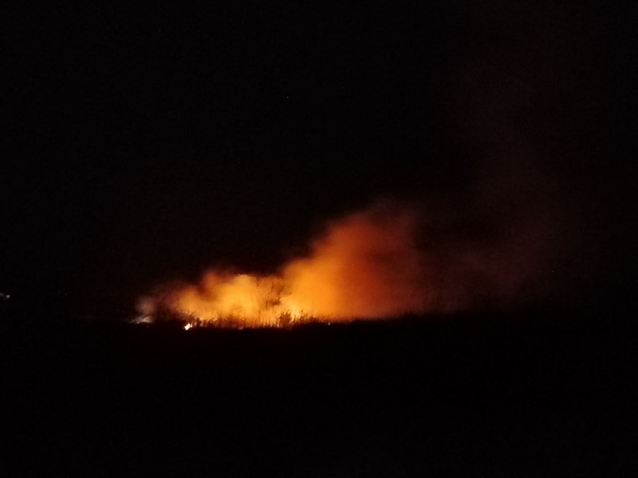 Фото Глава Бурятии взял на контроль тушение сложного пожара в Муйском районе