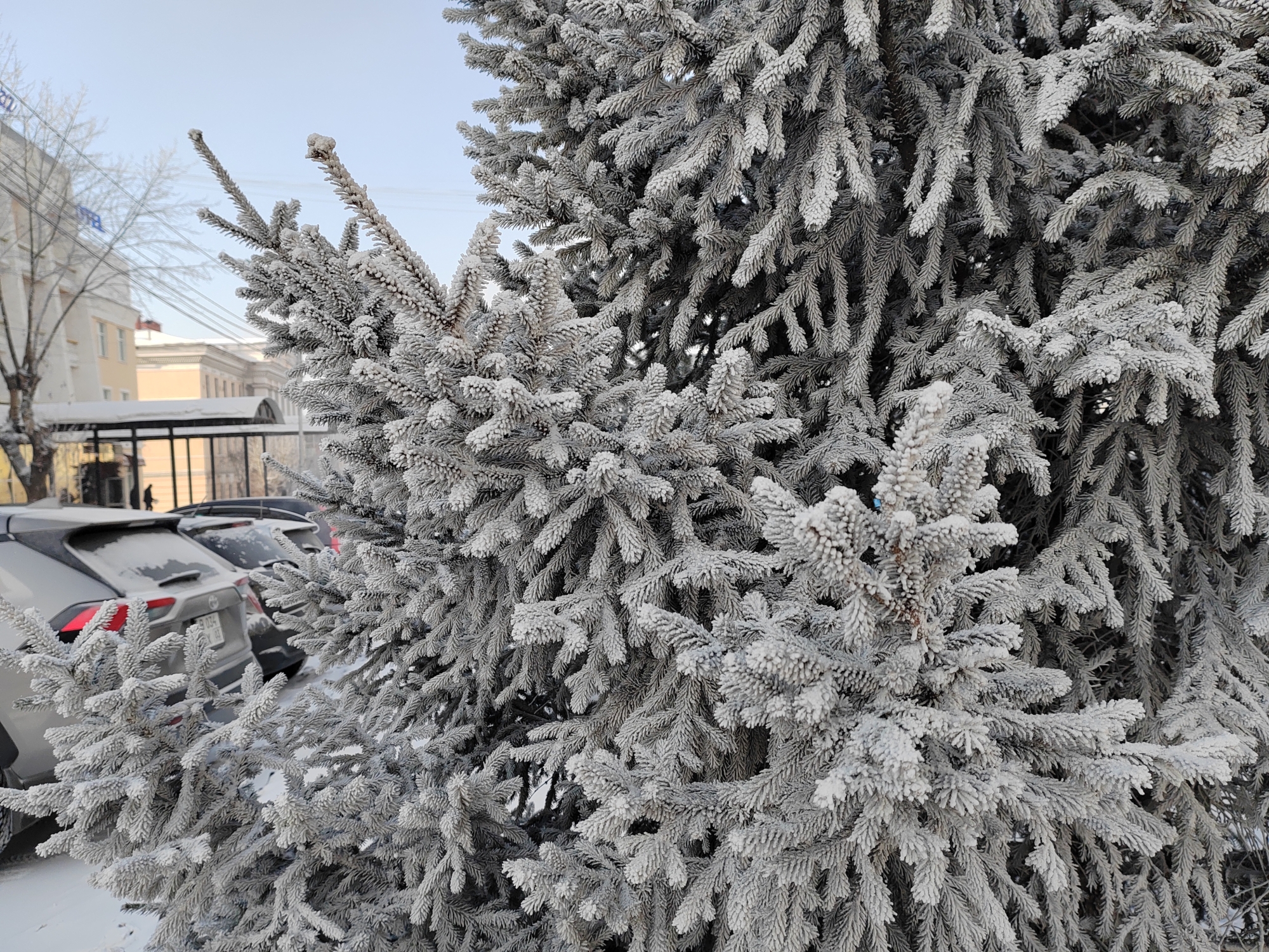 Фото У жителя Бурятии конфисковали автомобиль  