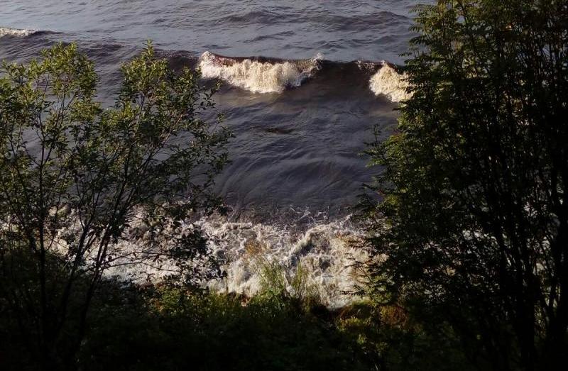 Фото Вода в Байкале почернела и запахла фекалиями