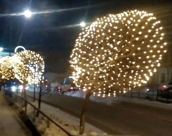 Фото Улан-удэнские вандалы испортили светодиодные сетки на деревьях