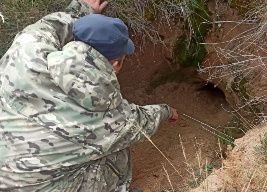 Фото В Кяхтинском районе Бурятии ликвидировали двух лисиц