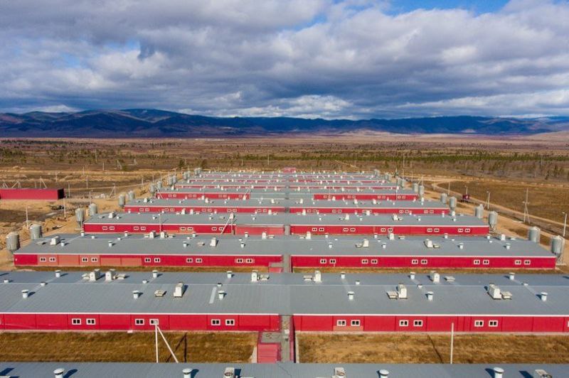 Фото Восточно-Сибирский свинокомплекс в Бурятии приглашает на работу