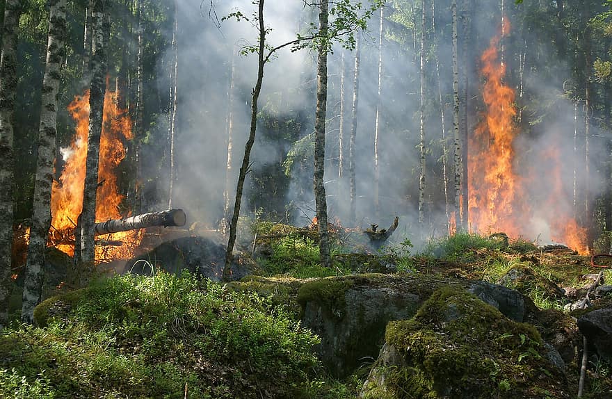 Фото В Бурятии сухие грозы зажгли 8 лесных пожаров за сутки