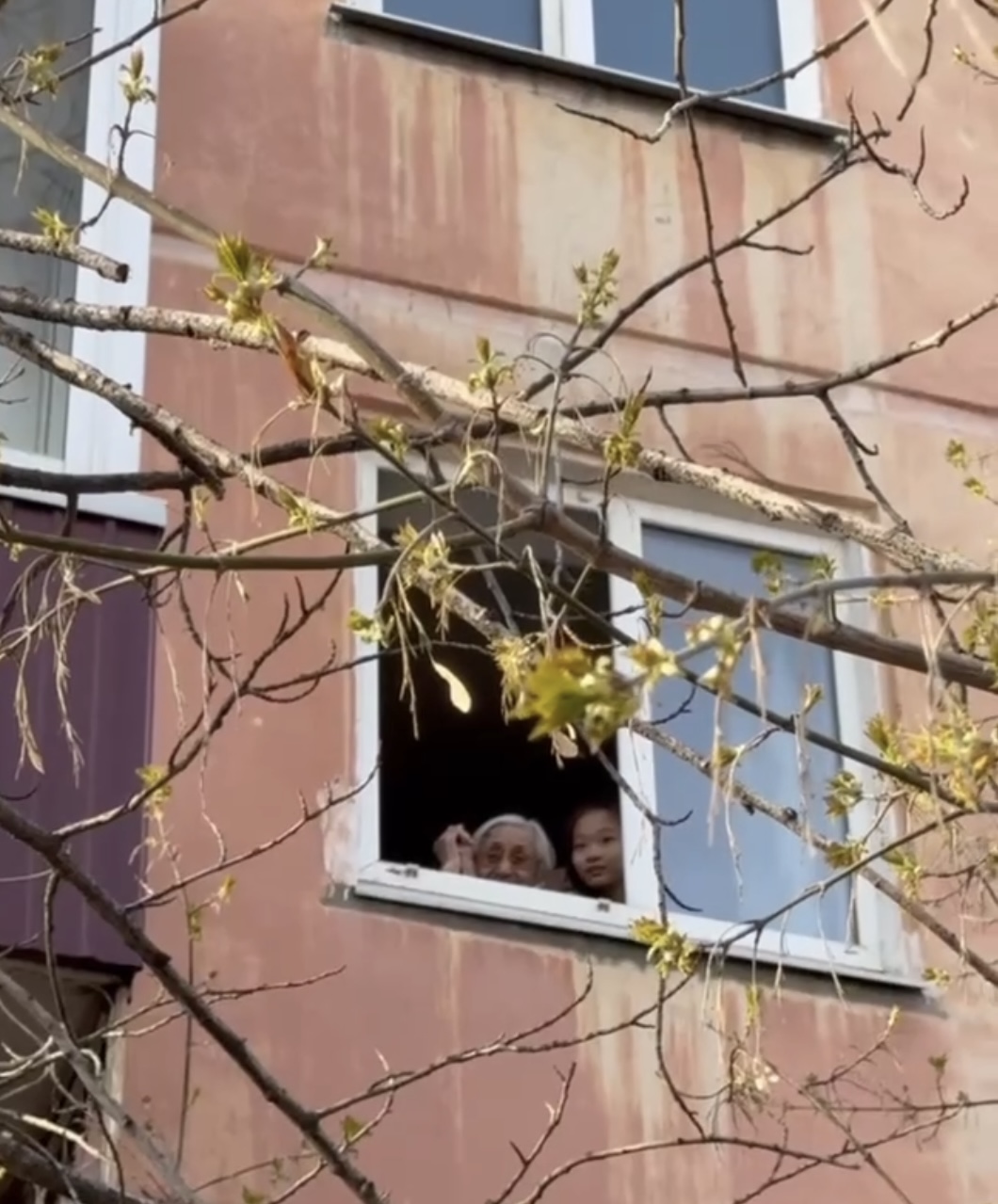 Фото В Улан-Удэ фронтовая бригада выступила под окном ветерана Цындэ Цыреновой
