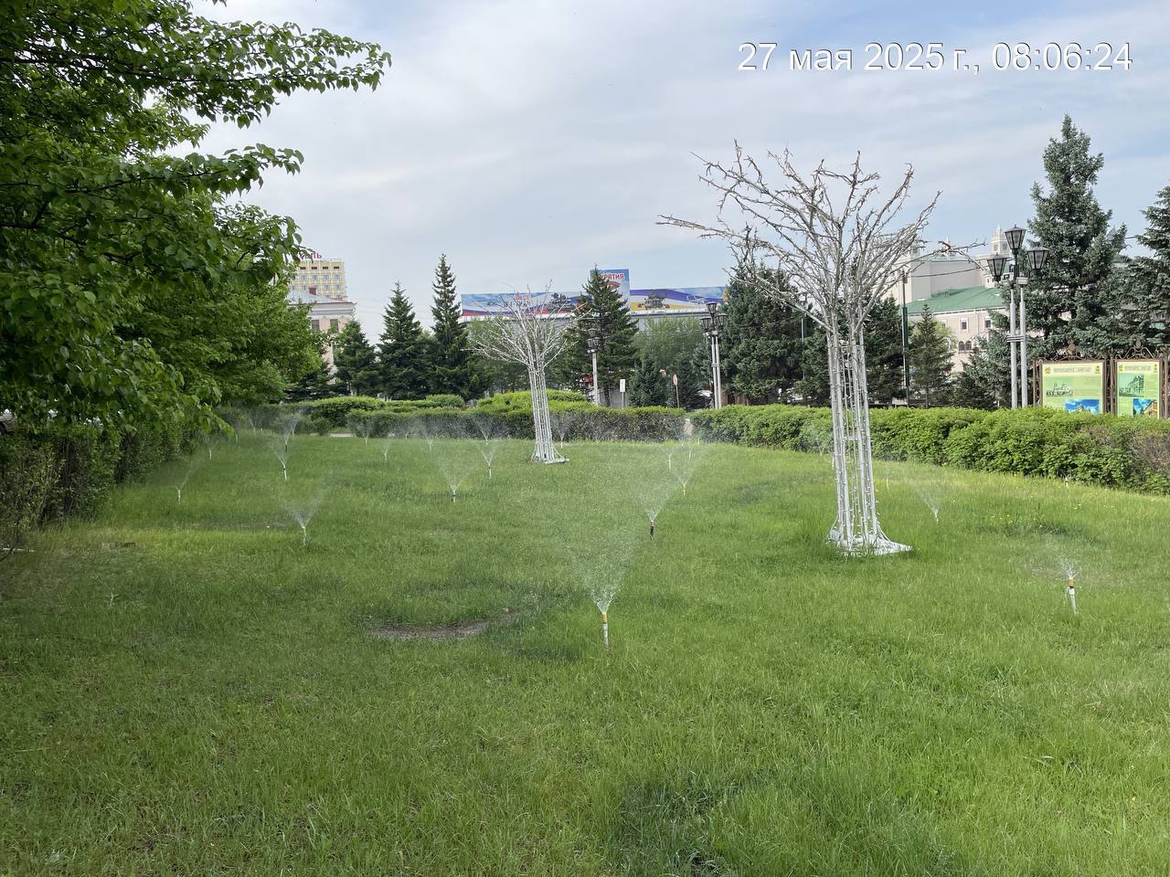 Фото В Улан-Удэ усилен полив деревьев и кустарников