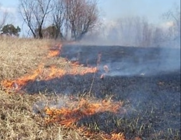 Фото Глава поселения в Бурятии устроил пожар на 10 га земли