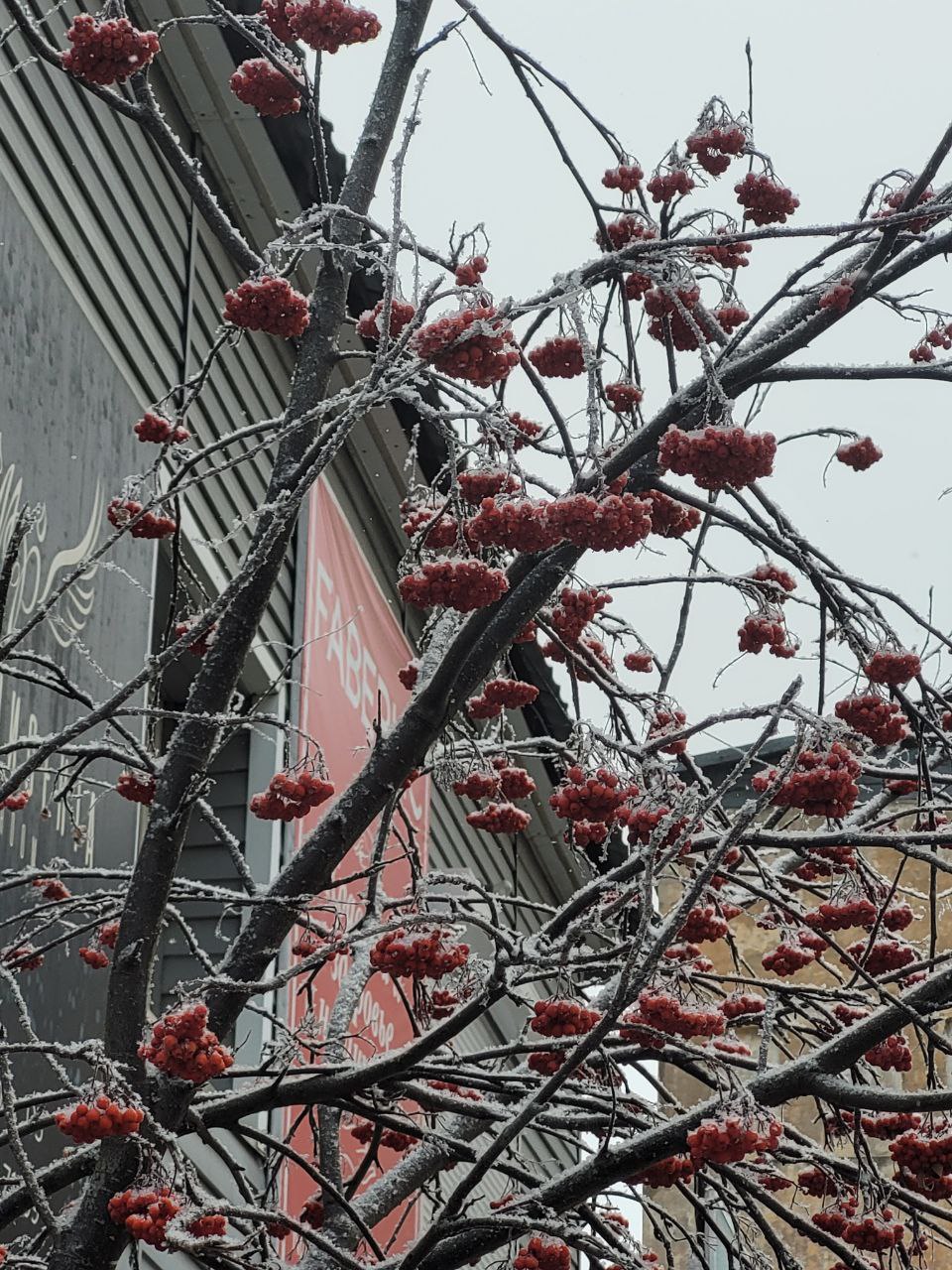 Фото Погода в Бурятии 25 декабря	