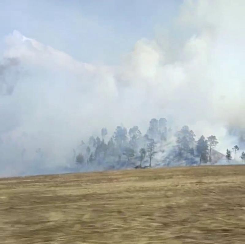 Фото В Бурятии за сутки обнаружено два лесных пожара