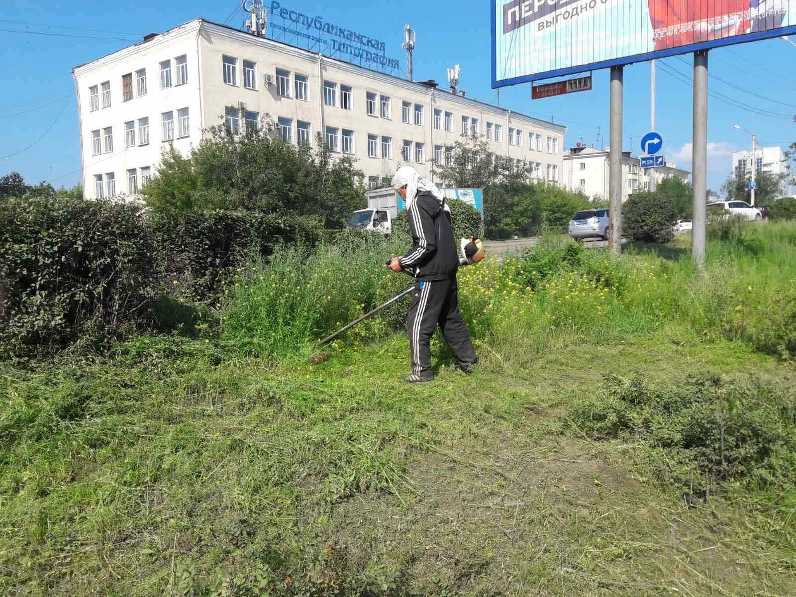 Фото В Улан-Удэ проверят, как жители косят траву возле своих участков